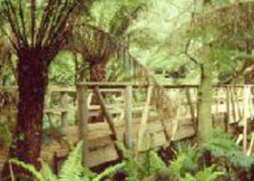 Mount Worth State Park - 1 Gold Coast 0