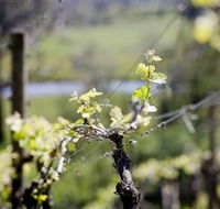 Coldstream Hills - Accommodation Gold Coast