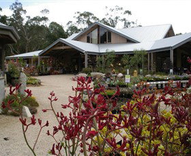Kuranga Native Nursery And Paperbark Cafe - Accommodation Gold Coast 0