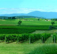 Acacia Ridge Vineyard - Accommodation Gold Coast