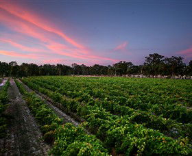 Amherst Winery - 1 Gold Coast 0