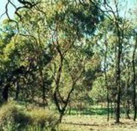 Leaghur State Park - Accommodation Gold Coast
