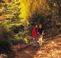 George Tindale Memorial Gardens - Accommodation Gold Coast