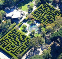 Ashcombe Maze  Lavender Gardens - Accommodation Gold Coast