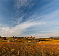 Sanguine Estate - Accommodation Gold Coast