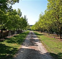 Waybourne Winery - Accommodation Gold Coast