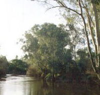 Banksia Park - Accommodation Gold Coast