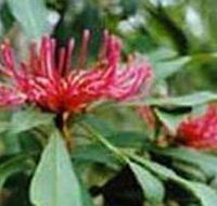 Alfred National Park - Accommodation Gold Coast