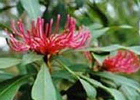 Alfred National Park - Accommodation Gold Coast 0