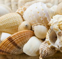 Anglesea Beach Club - 1 Gold Coast