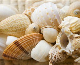 Anglesea Beach Club - 1 Gold Coast 0