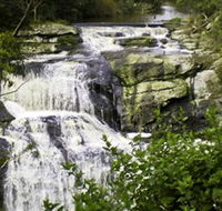 Agnes Falls Scenic Reserve - Accommodation Gold Coast