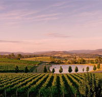 Oakridge Wines - Accommodation Gold Coast