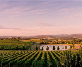 Oakridge Wines - Accommodation Gold Coast 0