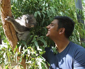 Healesville Sanctuary - Accommodation Gold Coast 0