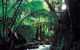 Melba Gully - thumb 0