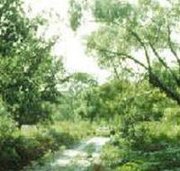 Holey Plains State Park - Accommodation Gold Coast