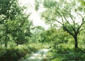 Holey Plains State Park - Accommodation Gold Coast 0