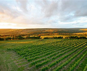 Nazaaray - 1 Gold Coast 0