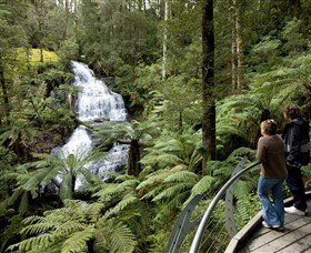 Great Otway National Park - Accommodation Gold Coast 0