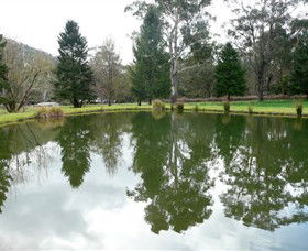 Harrietville VIC Accommodation Gold Coast
