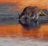 Steve Morvell Wildlife Art - Accommodation Gold Coast