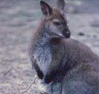 Churchill National Park - Gold Coast 4U