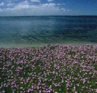 The Lakes National Park - Accommodation Gold Coast