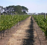 Mount Beckworth Wines - Accommodation Gold Coast