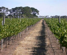 Mount Beckworth Wines - 1 Gold Coast 0