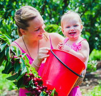 Cherryhill Orchards - Accommodation Gold Coast