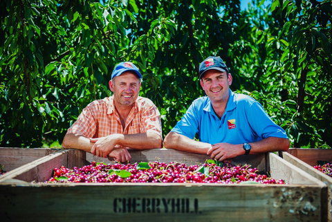 Cherryhill Orchards - Accommodation Gold Coast 5