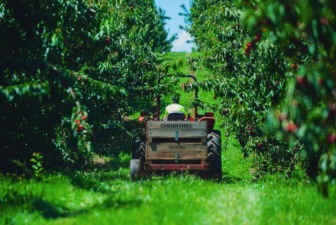 Cherryhill Orchards - Accommodation Gold Coast 7