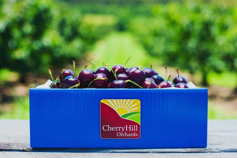 Cherryhill Orchards - Accommodation Gold Coast 8