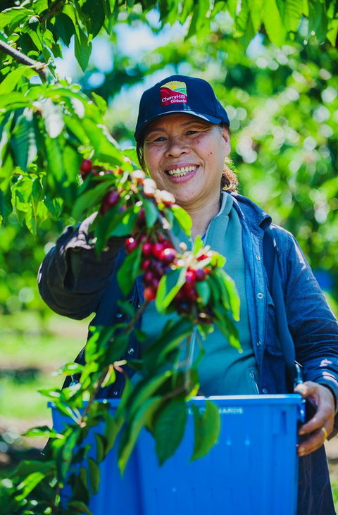 Cherryhill Orchards - Accommodation Gold Coast 11