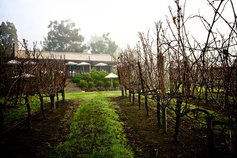 GREENSTONE VINEYARDS - Accommodation Gold Coast 4