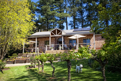 Main Ridge Estate - Accommodation Gold Coast 2