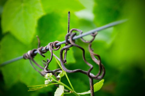 Dromana Estate - 1 Gold Coast 3