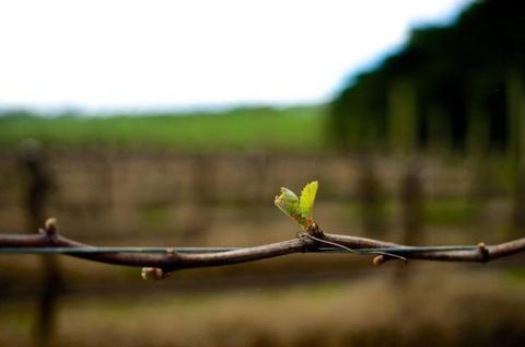 Dromana Estate - 1 Gold Coast 5