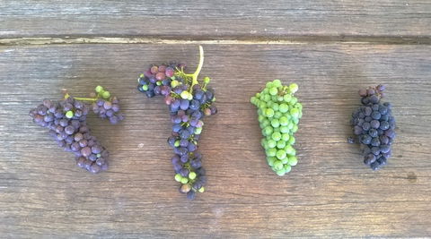 Dromana Estate - 1 Gold Coast 8