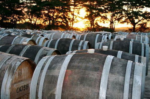 Dromana Estate - 1 Gold Coast 9