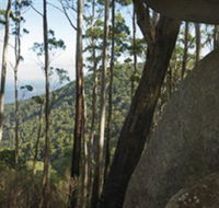 Gulaga National Park - Accommodation Gold Coast