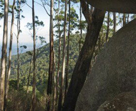 Gulaga National Park - Accommodation Gold Coast 0