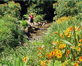 Bonaira Native Gardens - Accommodation Gold Coast 0