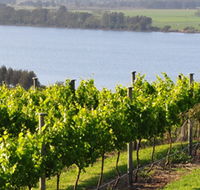 Two Figs Winery - Accommodation Gold Coast
