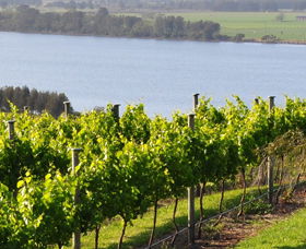 Two Figs Winery - Accommodation Gold Coast 0
