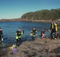 Bushrangers Bay Aquatic Reserve - Accommodation Gold Coast