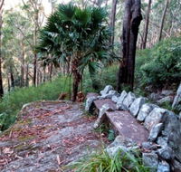 Wodi Wodi Walking Track - Accommodation Gold Coast