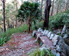 Wodi Wodi Walking Track - 1 Gold Coast 0
