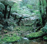Deua National Park - Accommodation Gold Coast